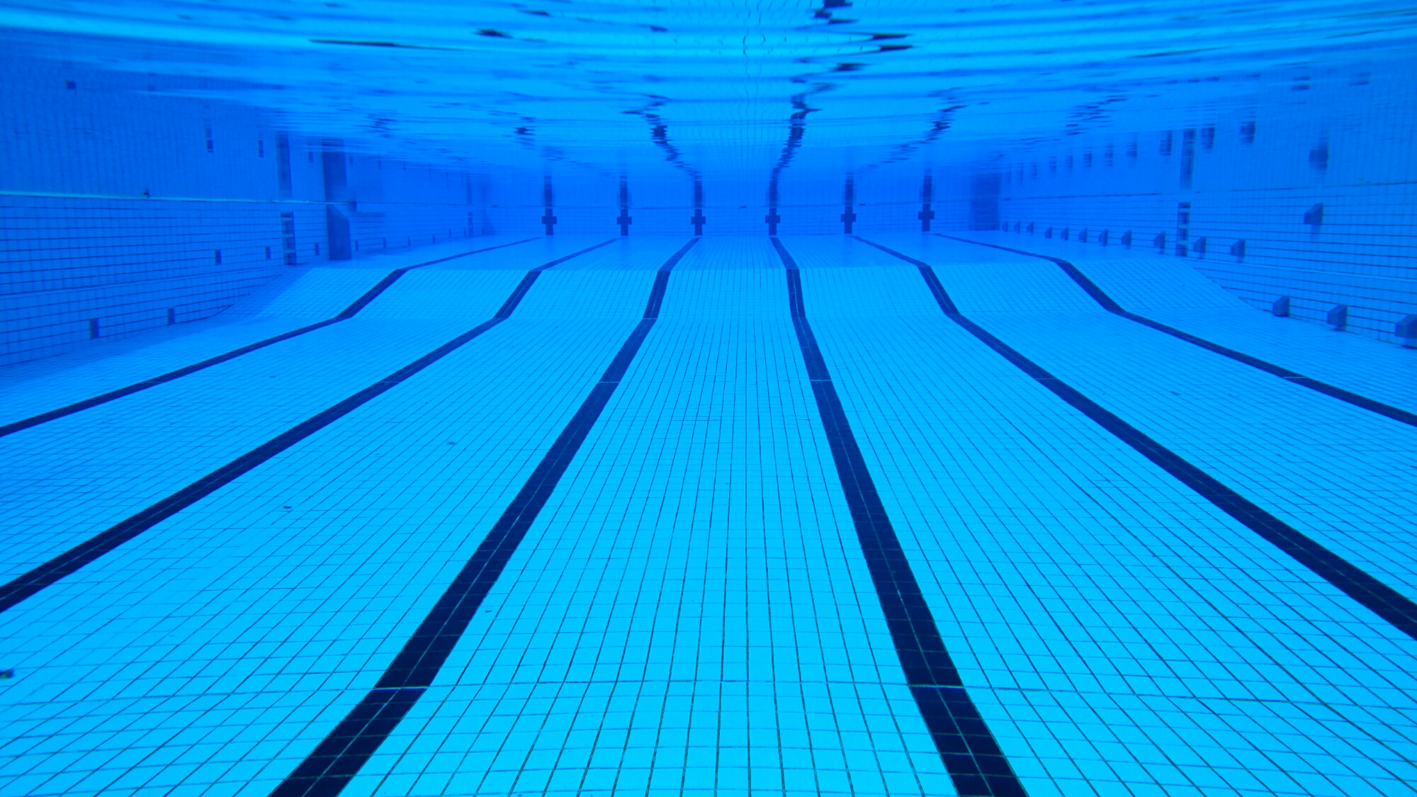Schwimmen Sparten www.MTVLeck.de Schwimmen Sparten www.MTVLeck.de